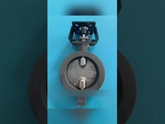 Wat is een gemotoriseerd vlinderklep?