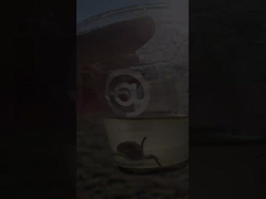 50 mm 400 mm 300 mm Carbon Steel Flanged Ventilatie vlinder klep